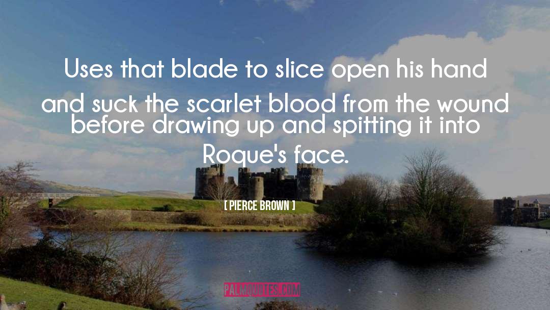 Slice And Dice quotes by Pierce Brown