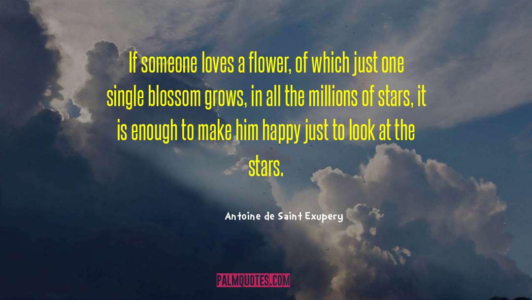 Slichter Flower quotes by Antoine De Saint Exupery