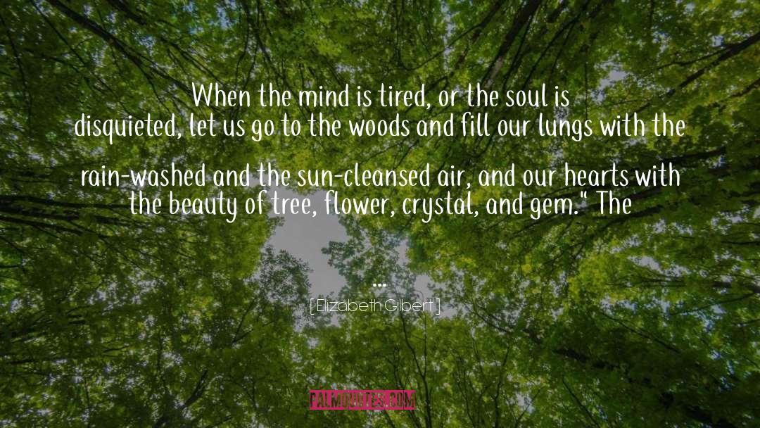 Slichter Flower quotes by Elizabeth Gilbert