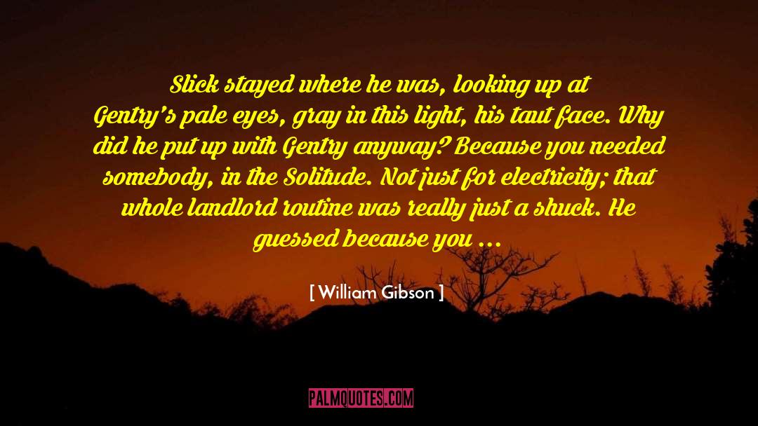 Slick quotes by William Gibson