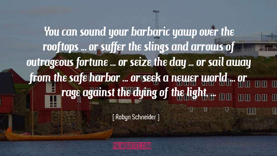 Slings And Arrows quotes by Robyn Schneider