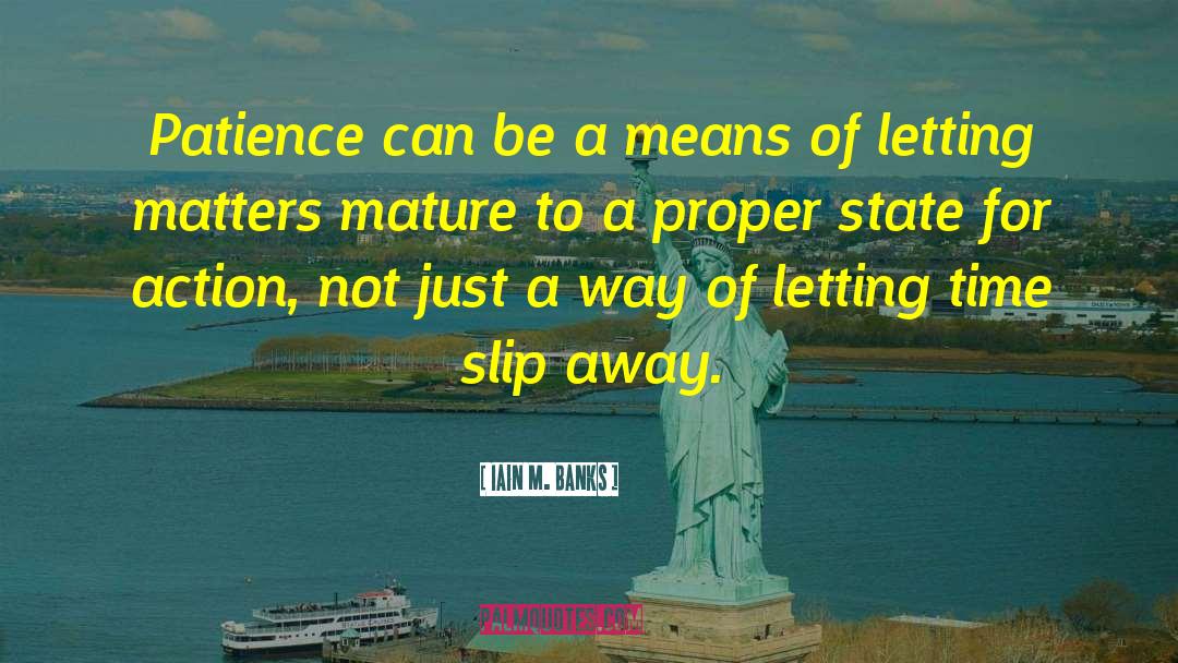Slip Away quotes by Iain M. Banks