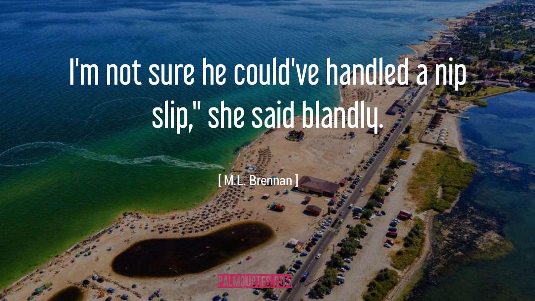 Slip quotes by M.L. Brennan