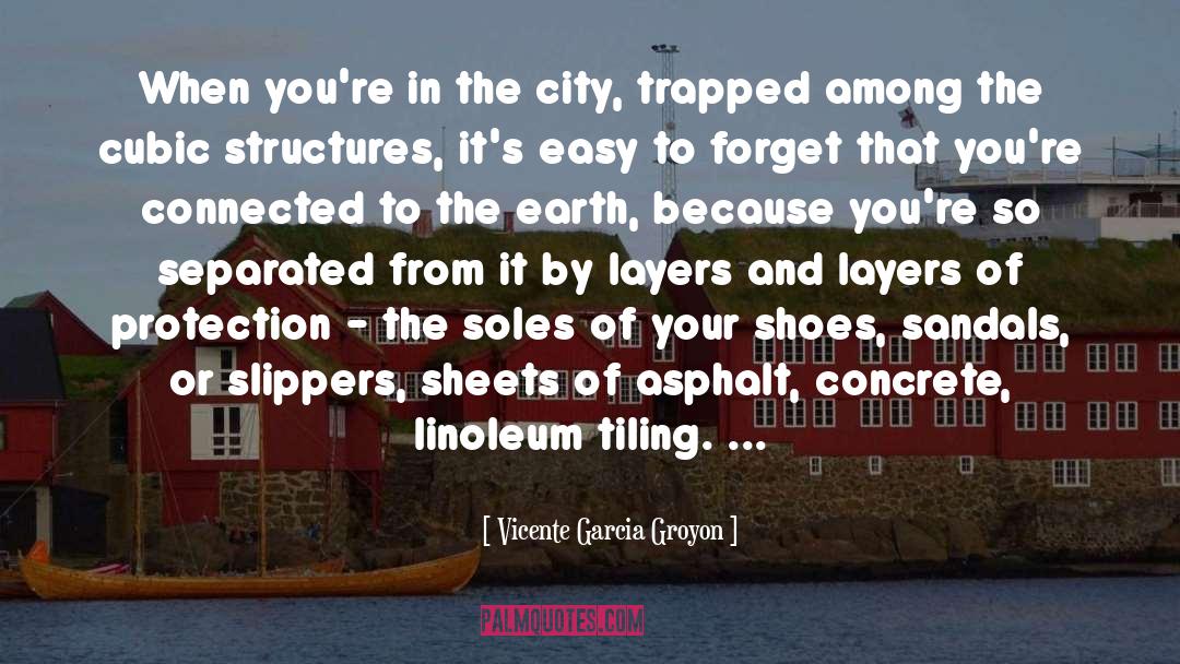 Slippers quotes by Vicente Garcia Groyon