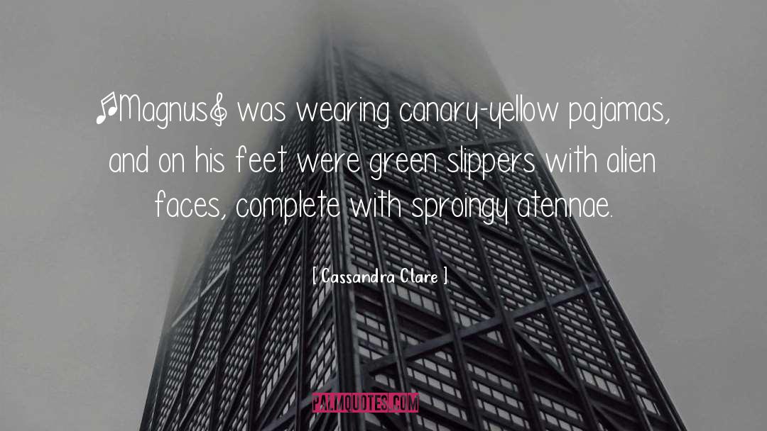 Slippers quotes by Cassandra Clare