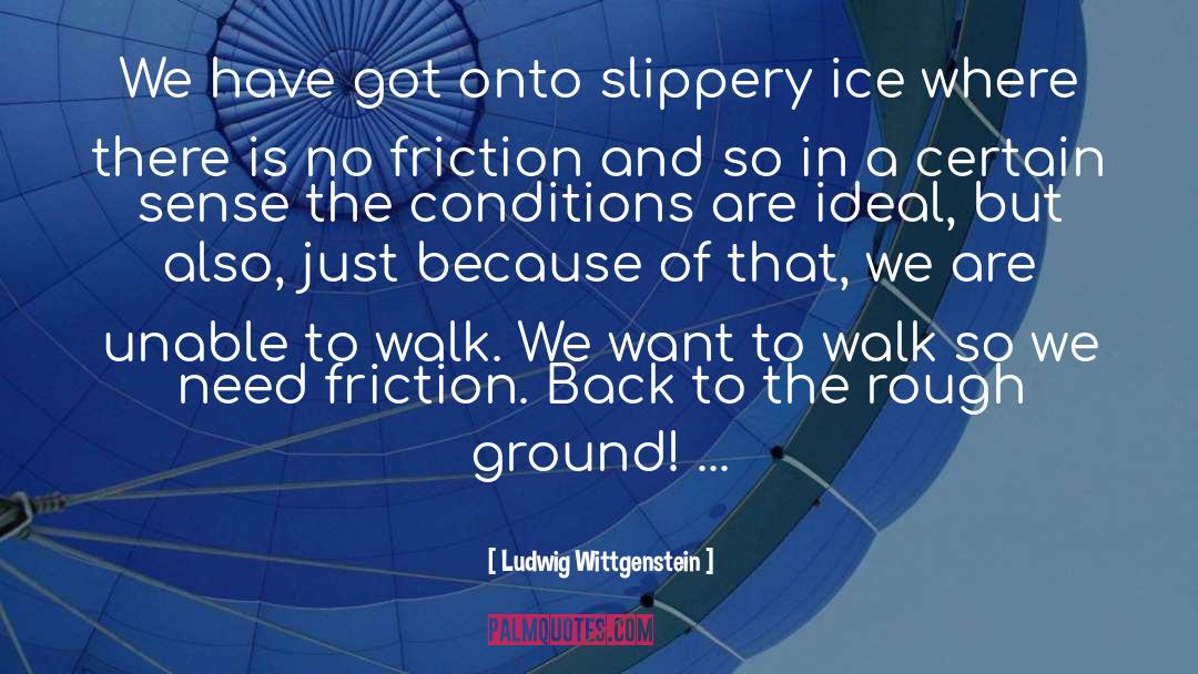 Slippery quotes by Ludwig Wittgenstein