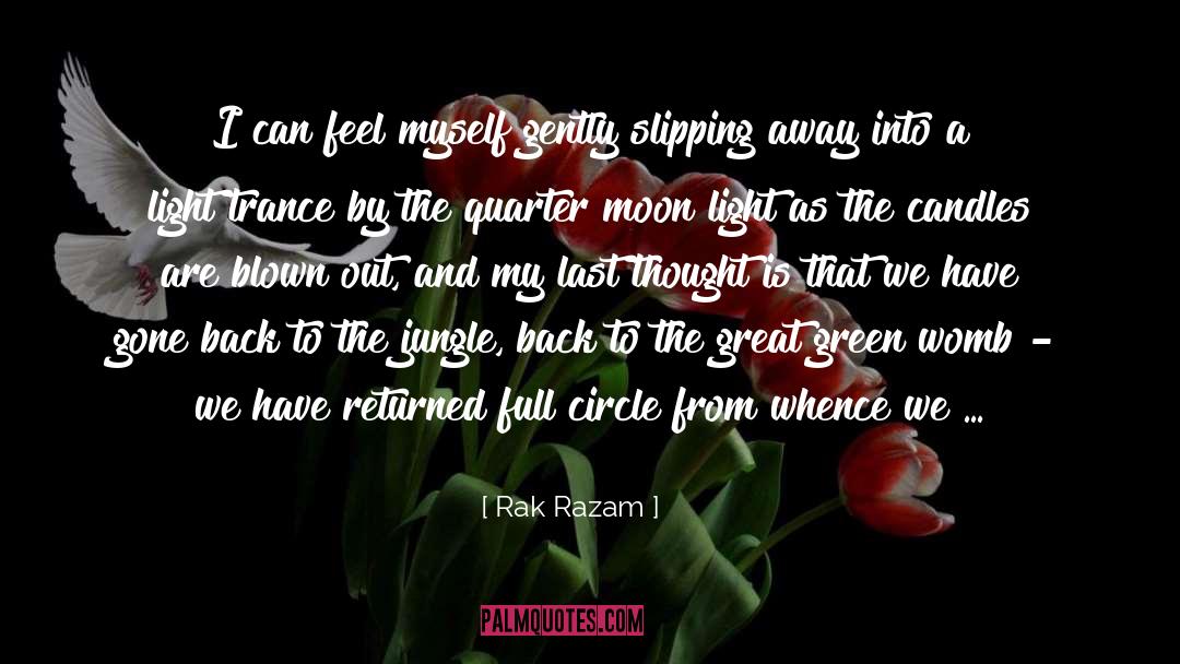 Slipping Away quotes by Rak Razam