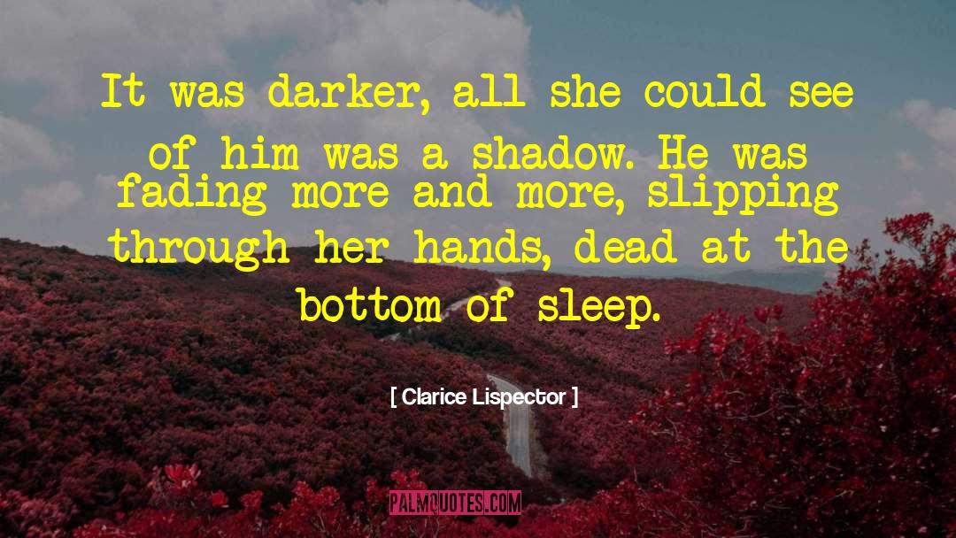 Slipping Through quotes by Clarice Lispector