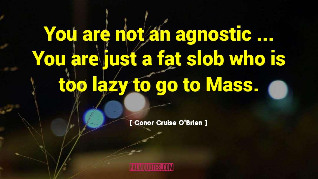 Slob quotes by Conor Cruise O'Brien