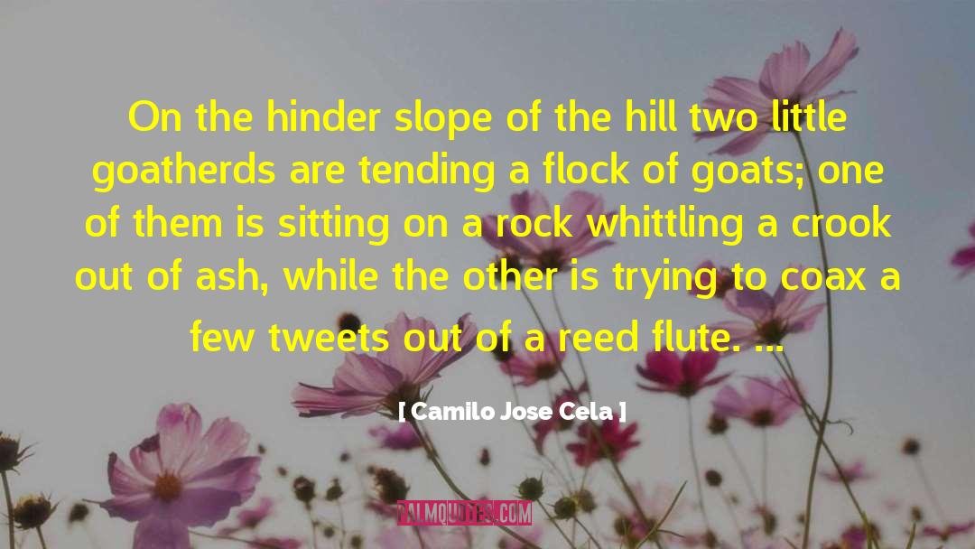 Slope quotes by Camilo Jose Cela
