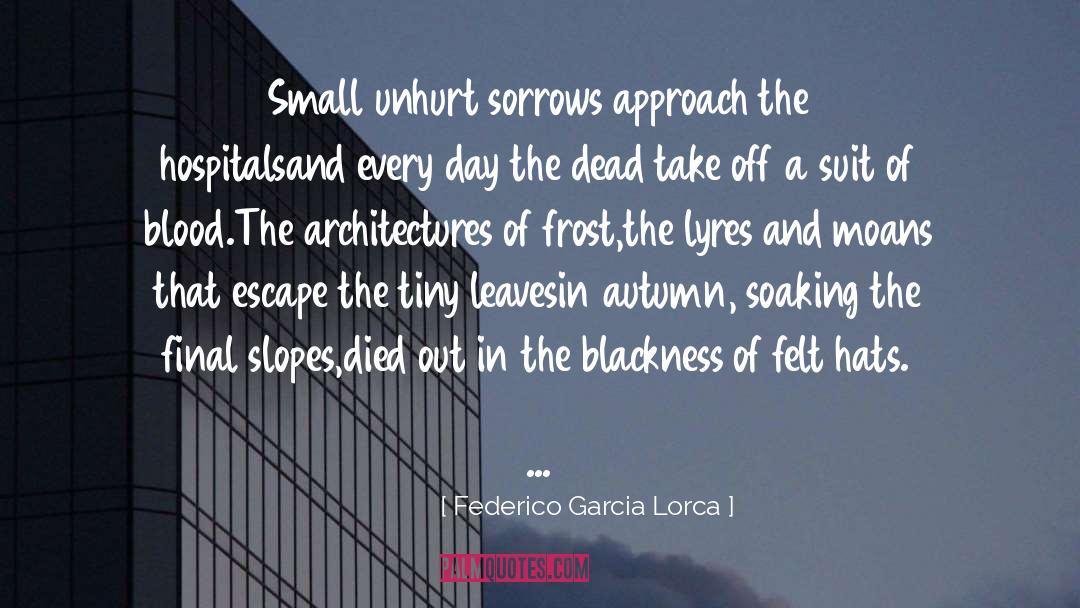 Slopes quotes by Federico Garcia Lorca