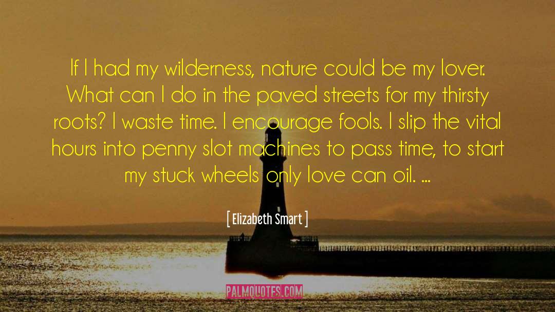 Slot Machines quotes by Elizabeth Smart