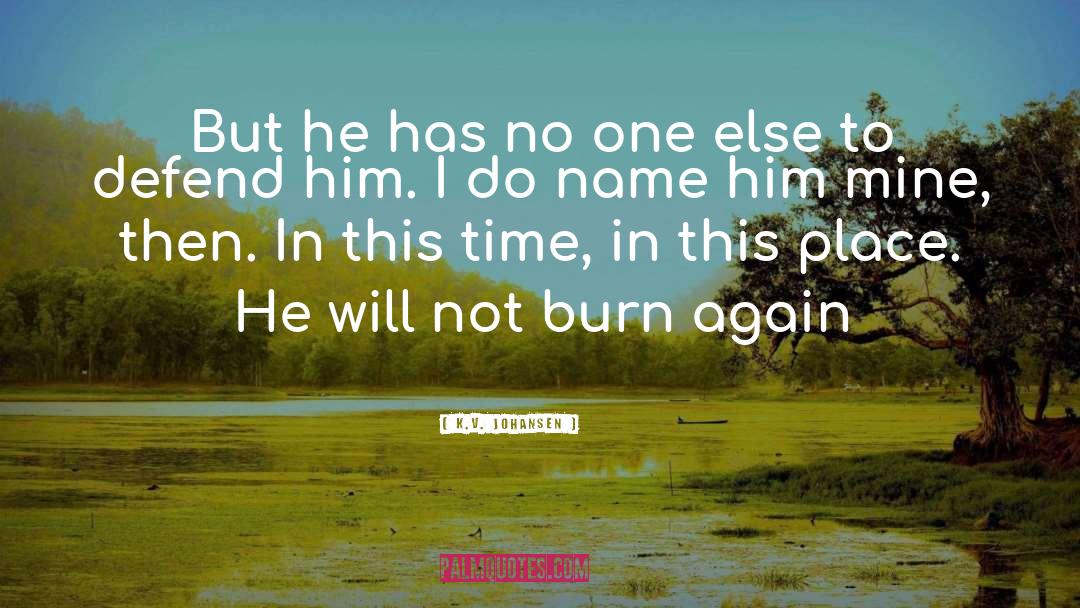 Slow Burn Friendship quotes by K.V. Johansen