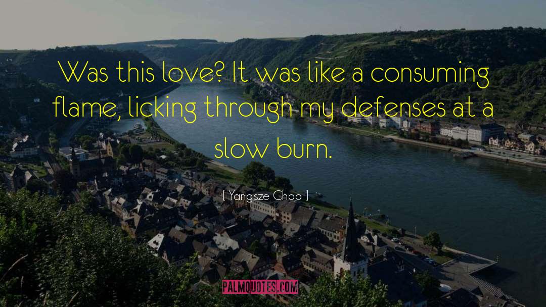Slow Burn Romance quotes by Yangsze Choo