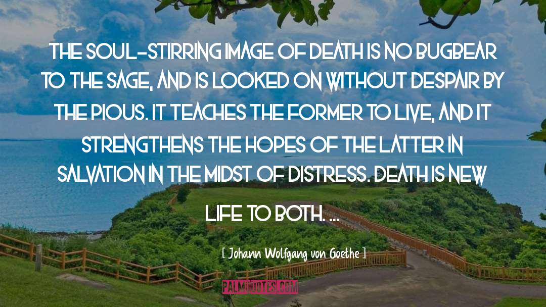 Slow Death quotes by Johann Wolfgang Von Goethe