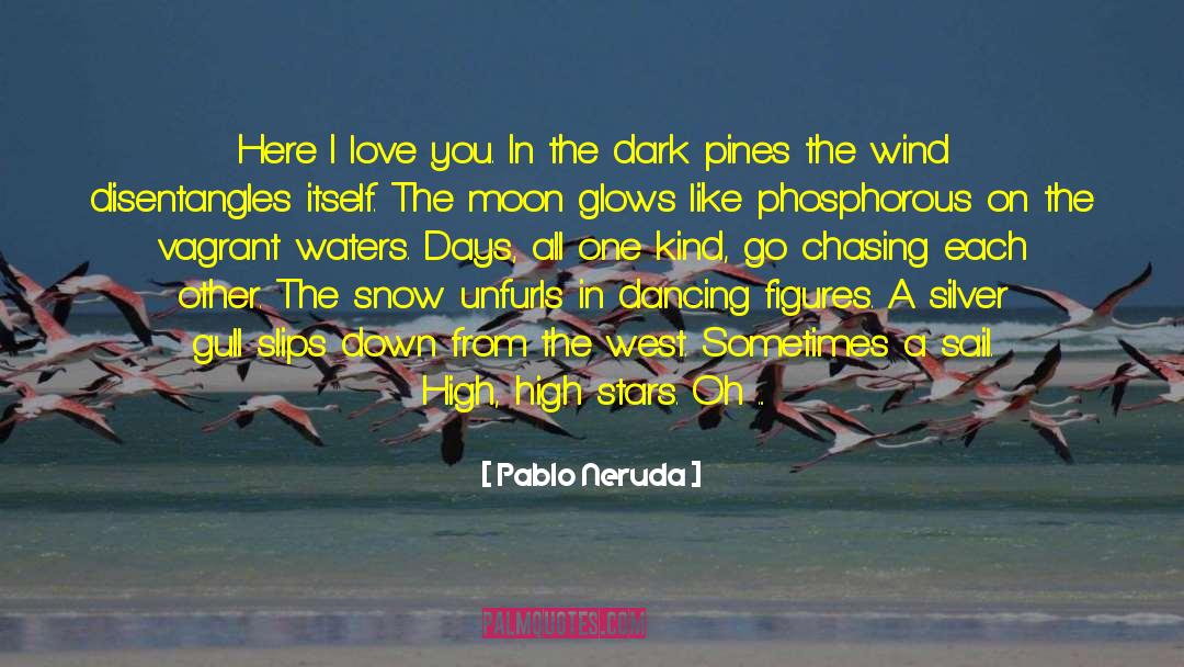 Slow Down Destination quotes by Pablo Neruda