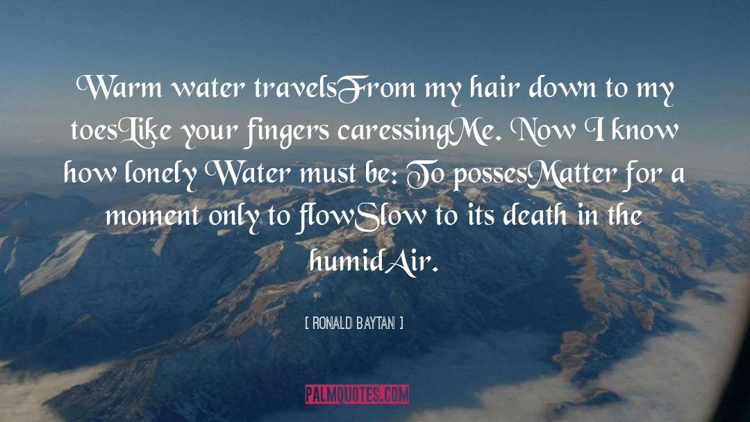 Slow Down Destination quotes by Ronald Baytan