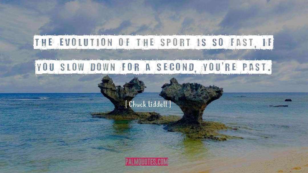 Slow Down quotes by Chuck Liddell