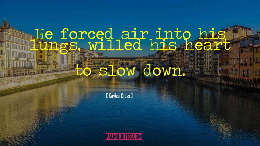 Slow Down quotes by Kaylea Cross