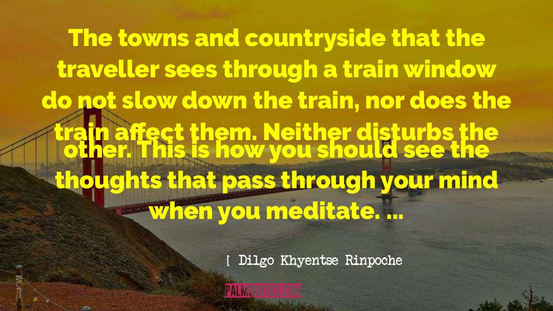 Slow Down quotes by Dilgo Khyentse Rinpoche