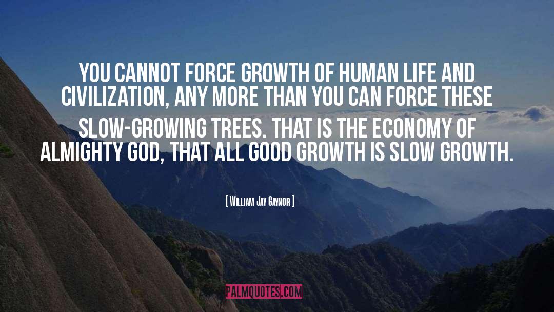 Slow Growth quotes by William Jay Gaynor