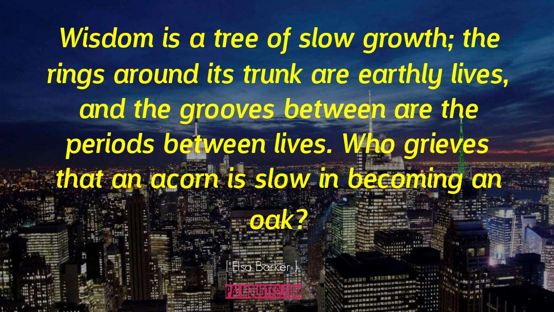 Slow Growth quotes by Elsa Barker