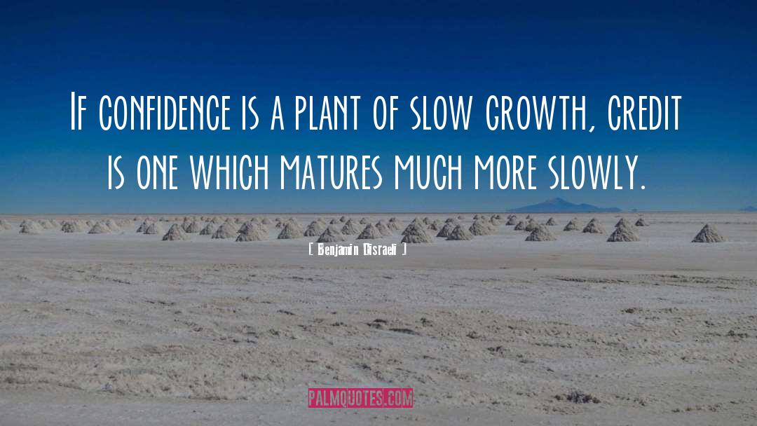 Slow Growth quotes by Benjamin Disraeli