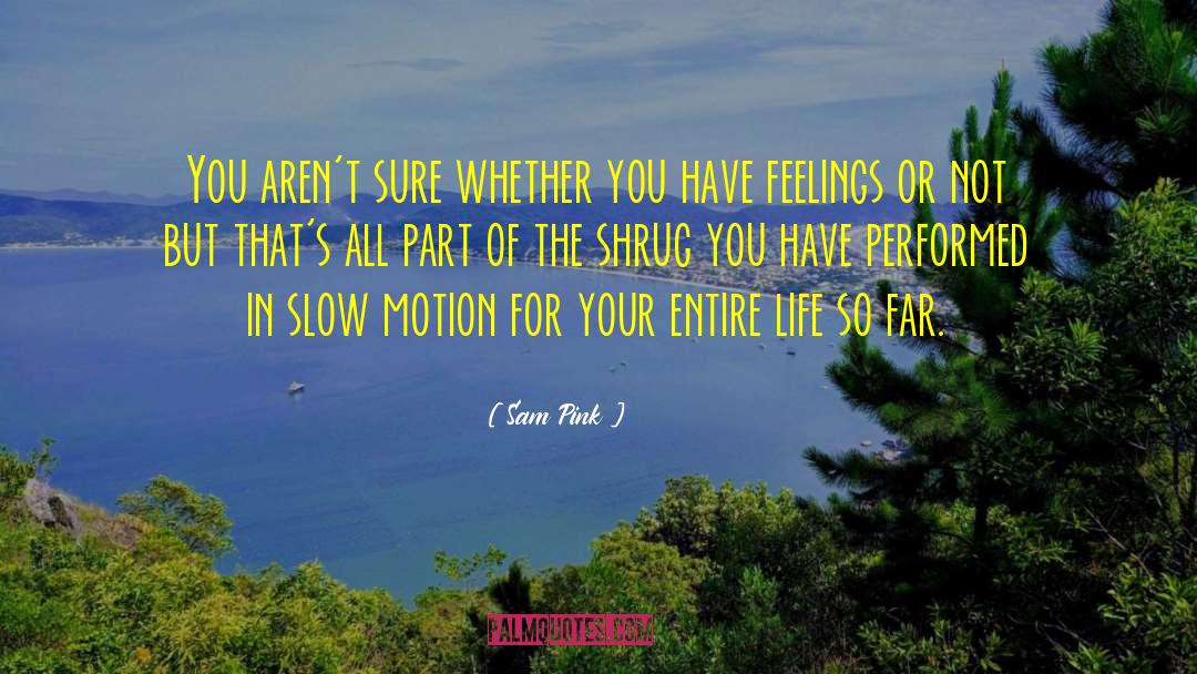 Slow Motion quotes by Sam Pink