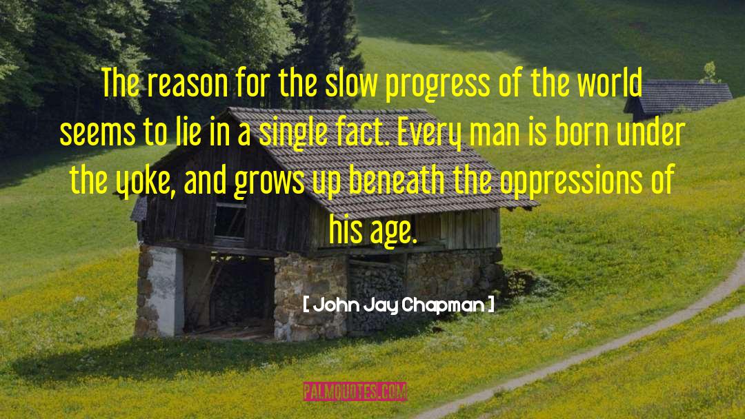 Slow Progress quotes by John Jay Chapman