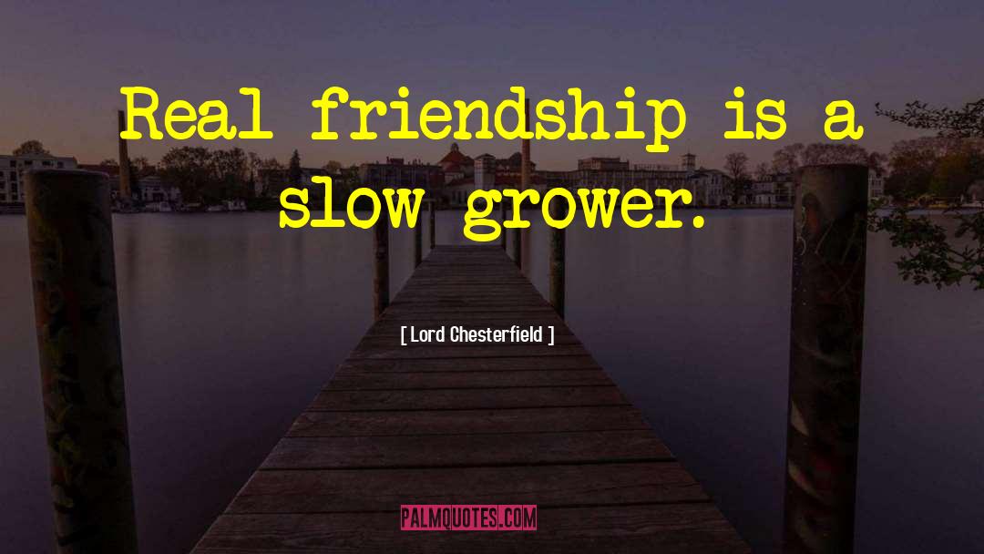 Slow Thinkers quotes by Lord Chesterfield