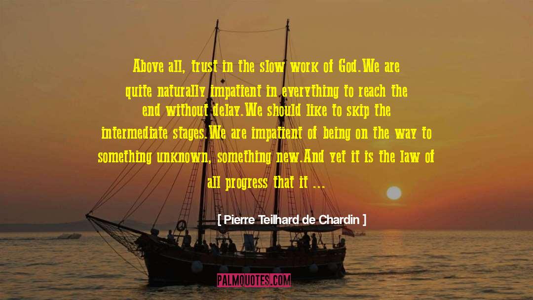 Slow Work quotes by Pierre Teilhard De Chardin