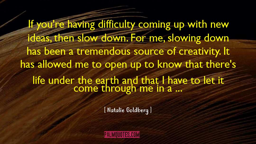 Slowing Down quotes by Natalie Goldberg