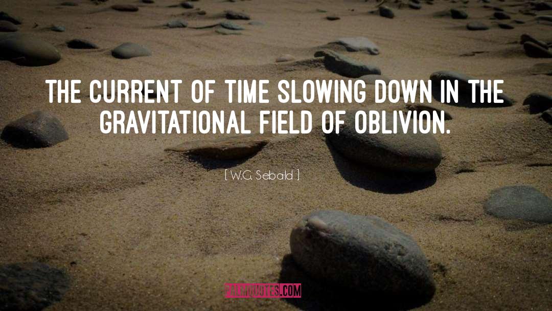 Slowing Down quotes by W.G. Sebald