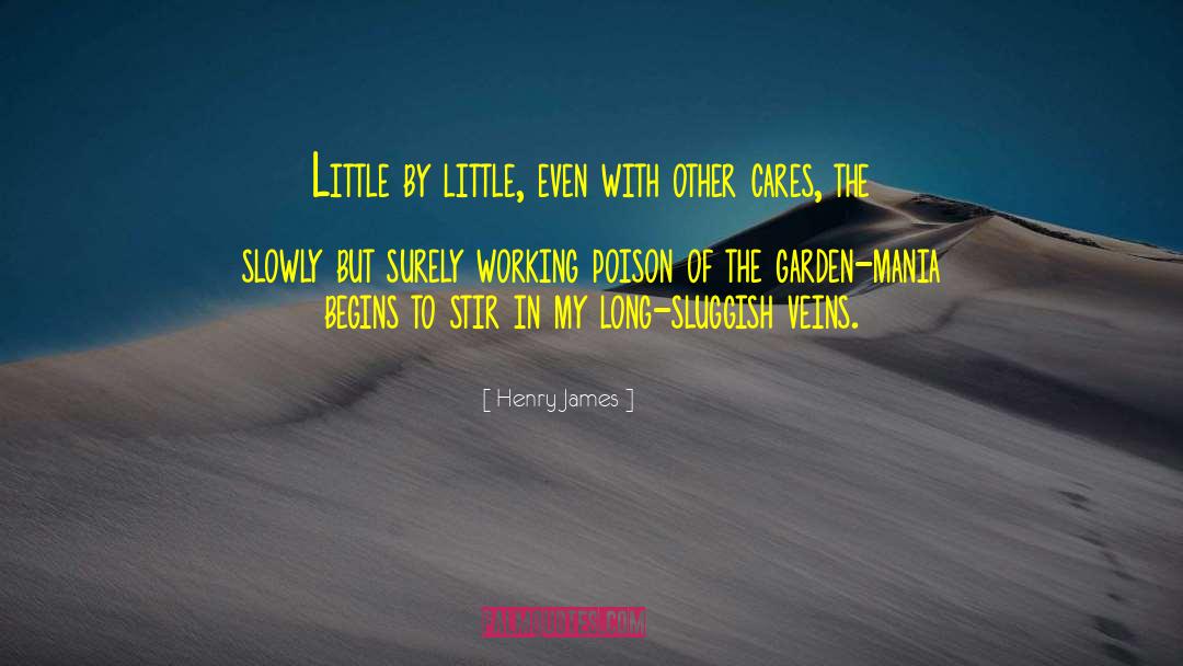 Slowly But Surely quotes by Henry James