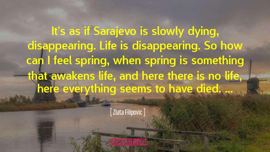 Slowly Dying quotes by Zlata Filipovic