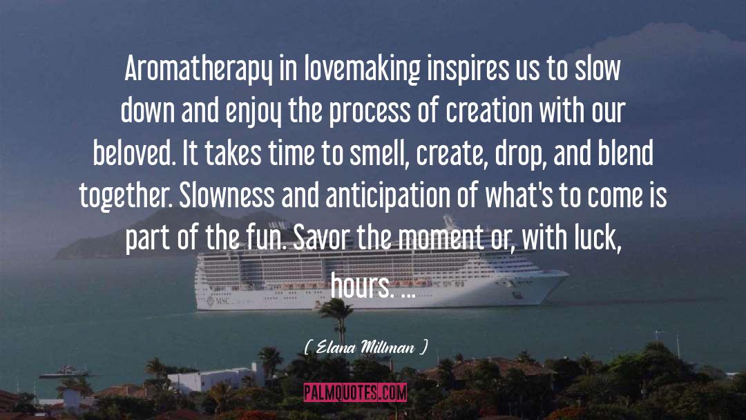 Slowness quotes by Elana Millman