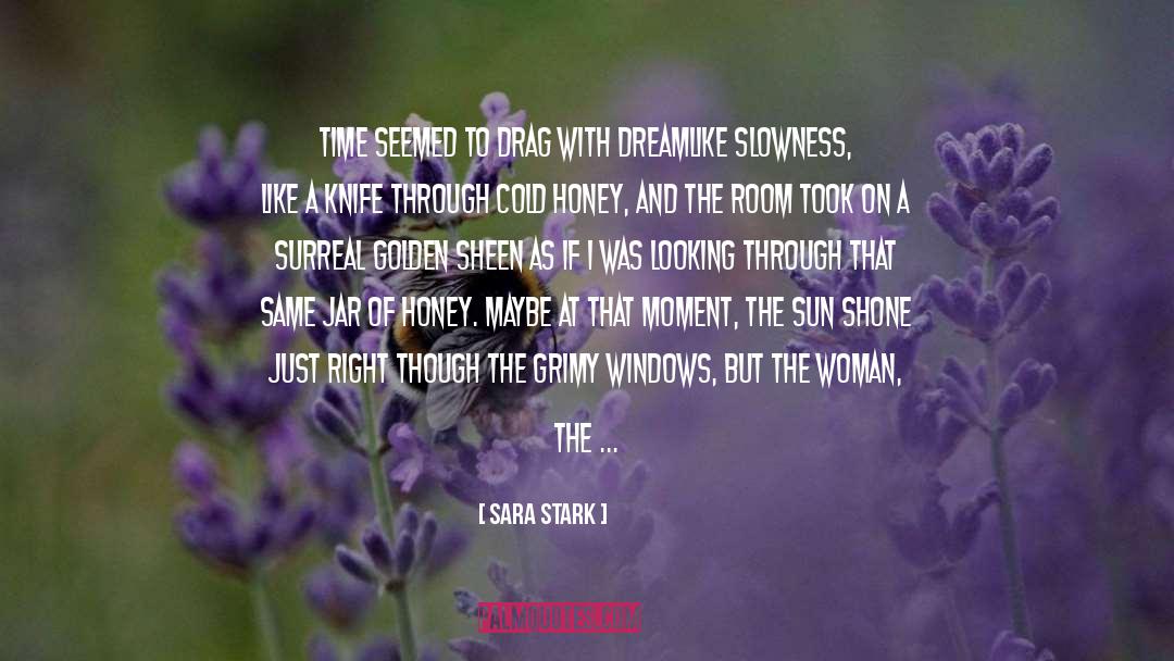Slowness quotes by Sara Stark