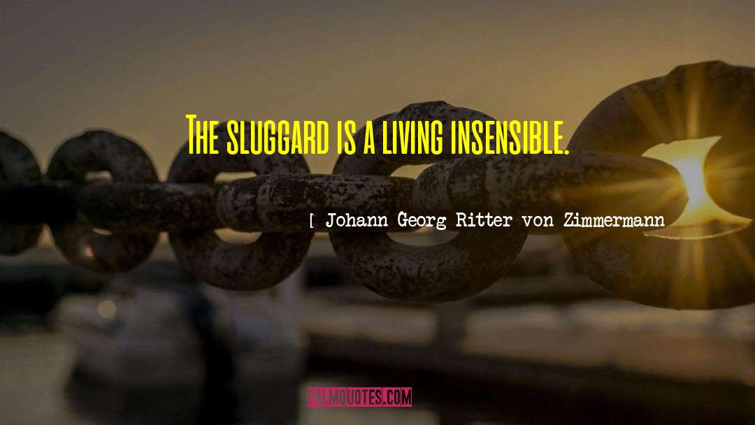 Sluggard quotes by Johann Georg Ritter Von Zimmermann