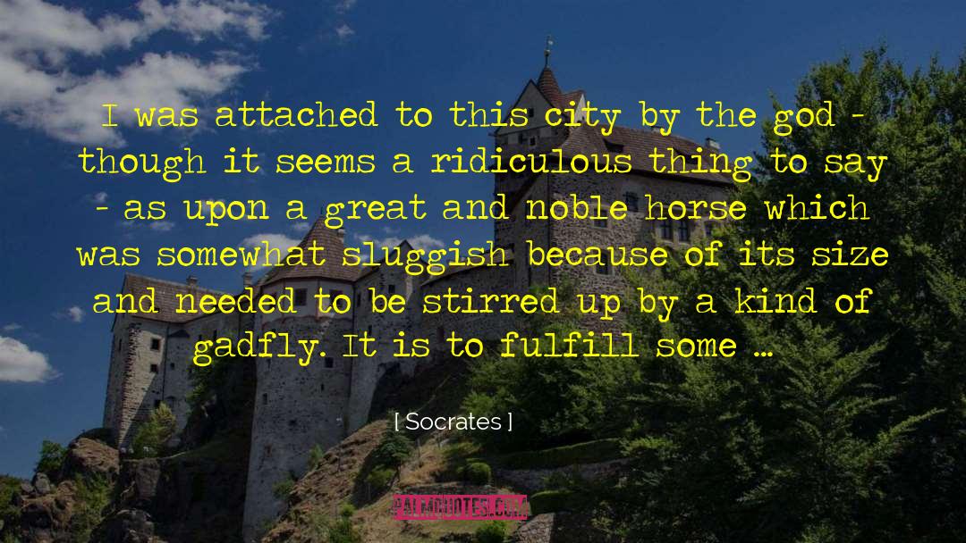 Sluggish quotes by Socrates