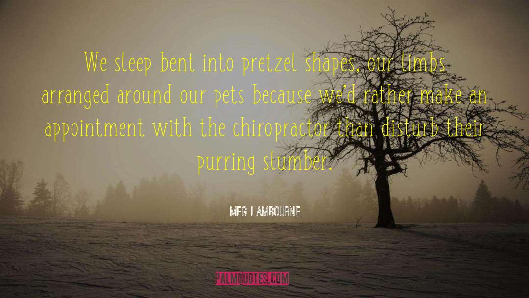Slumber quotes by Meg Lambourne