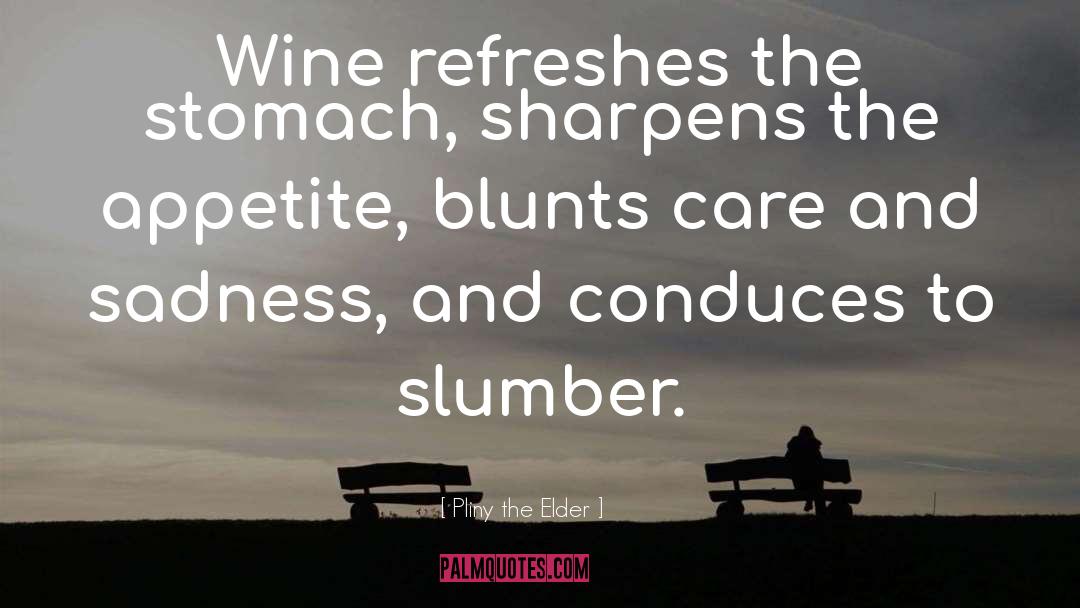 Slumber quotes by Pliny The Elder