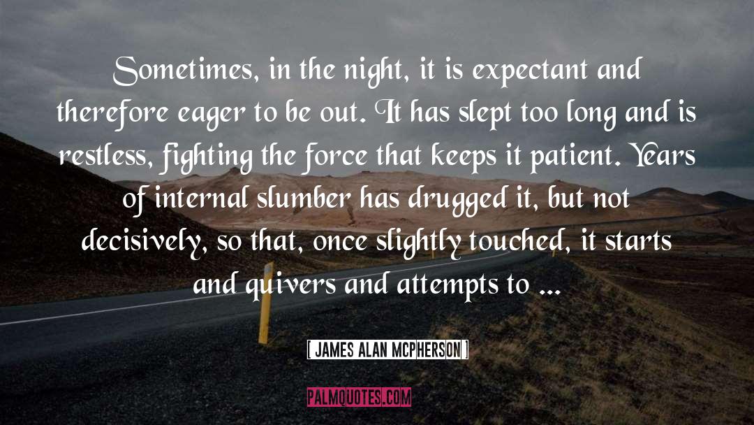 Slumber quotes by James Alan McPherson