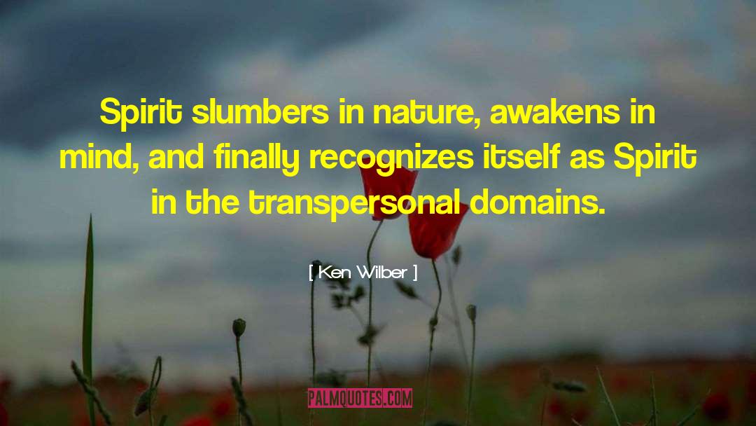 Slumber Sleep quotes by Ken Wilber