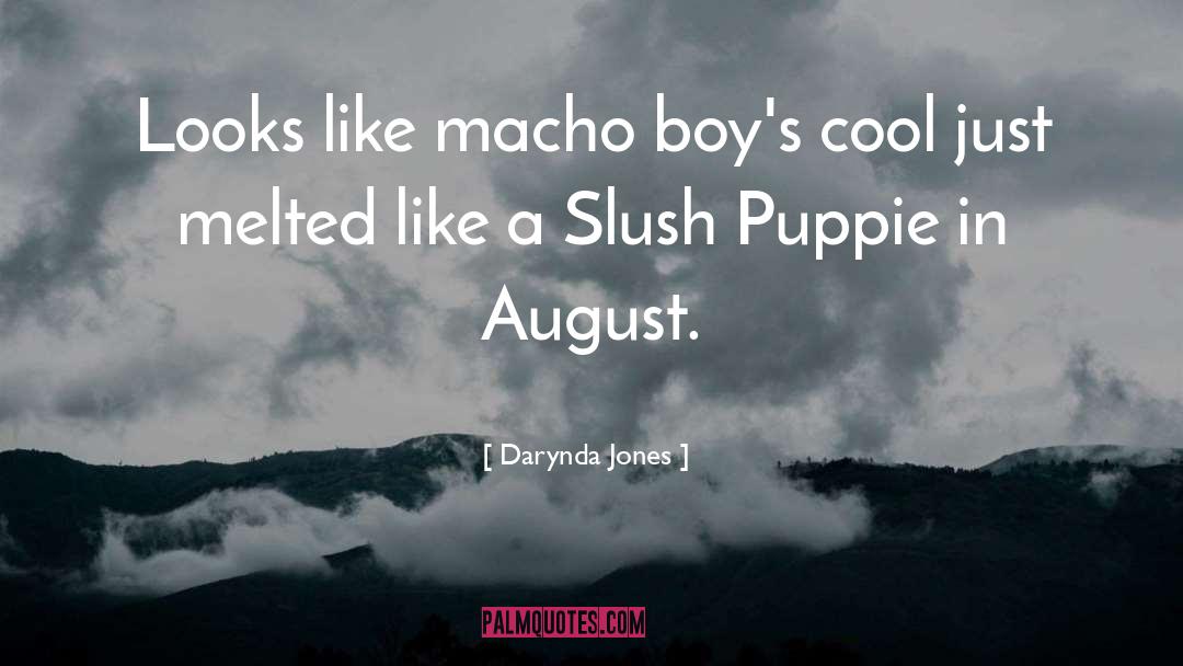 Slush quotes by Darynda Jones