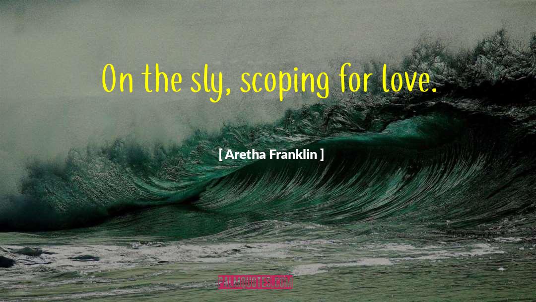 Sly quotes by Aretha Franklin