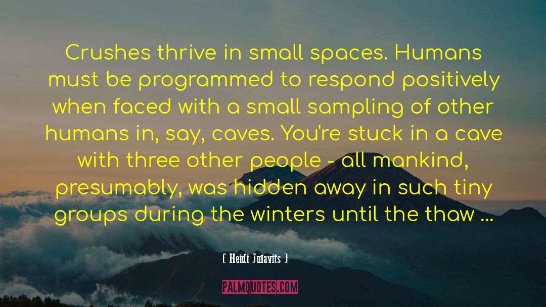 Small Amounts quotes by Heidi Julavits
