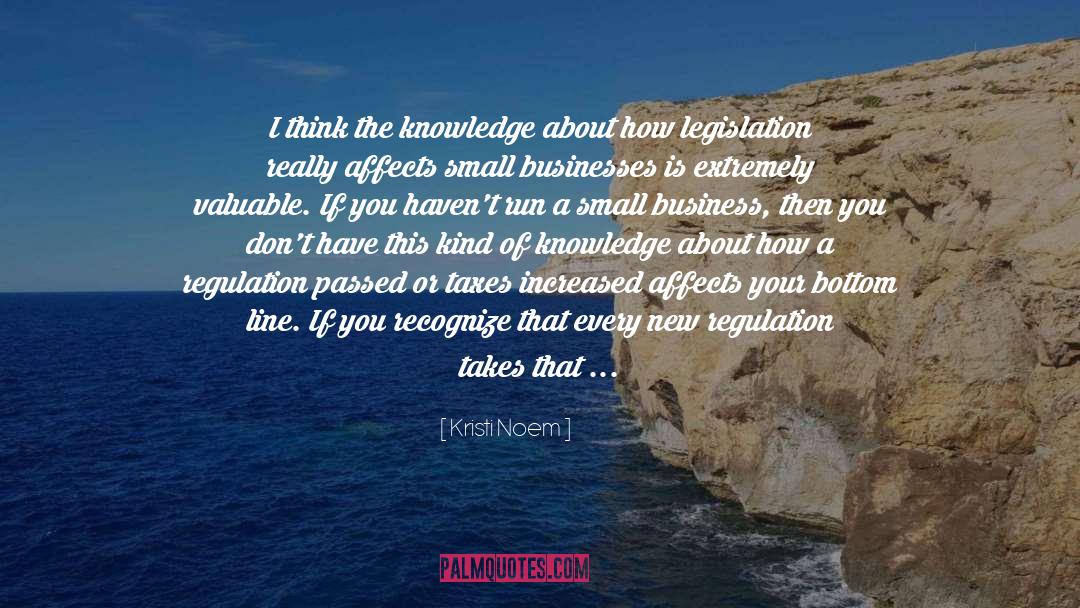 Small Business Owner quotes by Kristi Noem