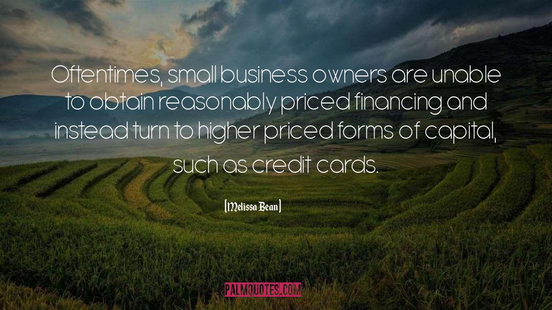 Small Business Owners quotes by Melissa Bean