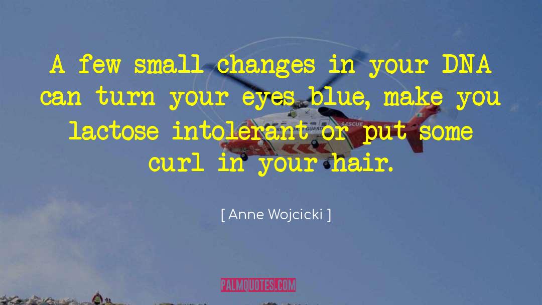 Small Changes quotes by Anne Wojcicki