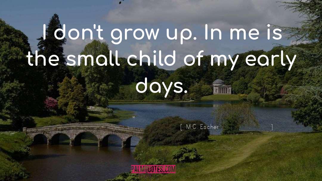 Small Child quotes by M.C. Escher